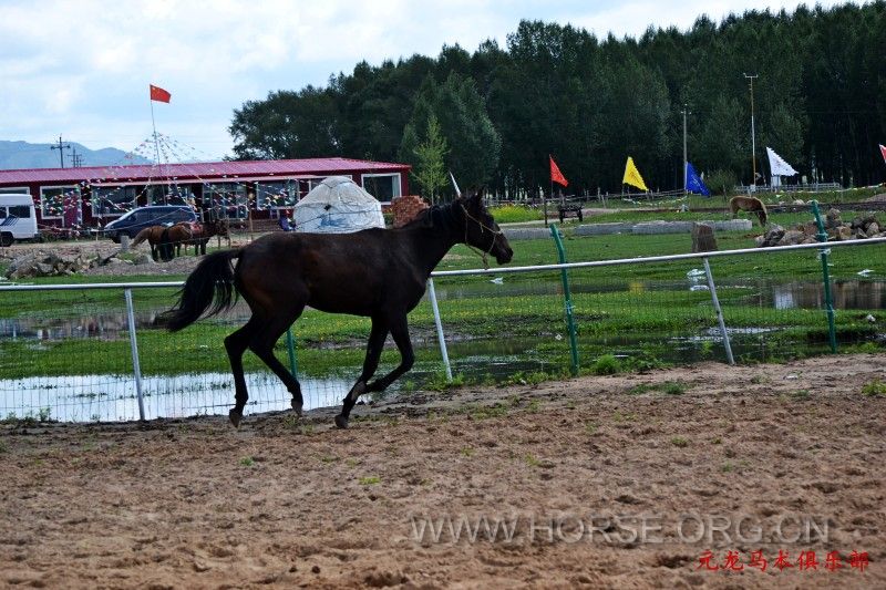 conew_dsc_1857.jpg