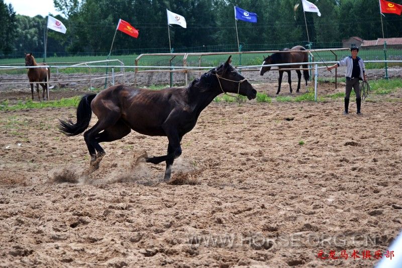 conew_dsc_1867.jpg