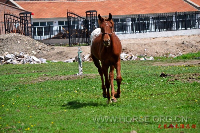 conew_dsc_1900.jpg
