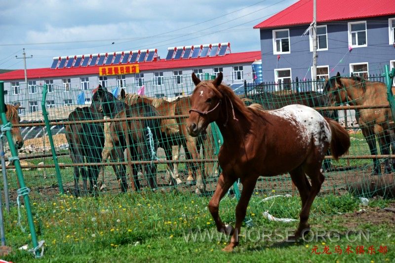 conew_dsc_1884.jpg