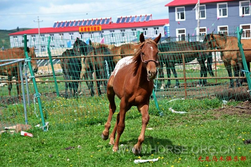 conew_dsc_1886.jpg