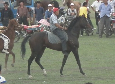 马4.jpg