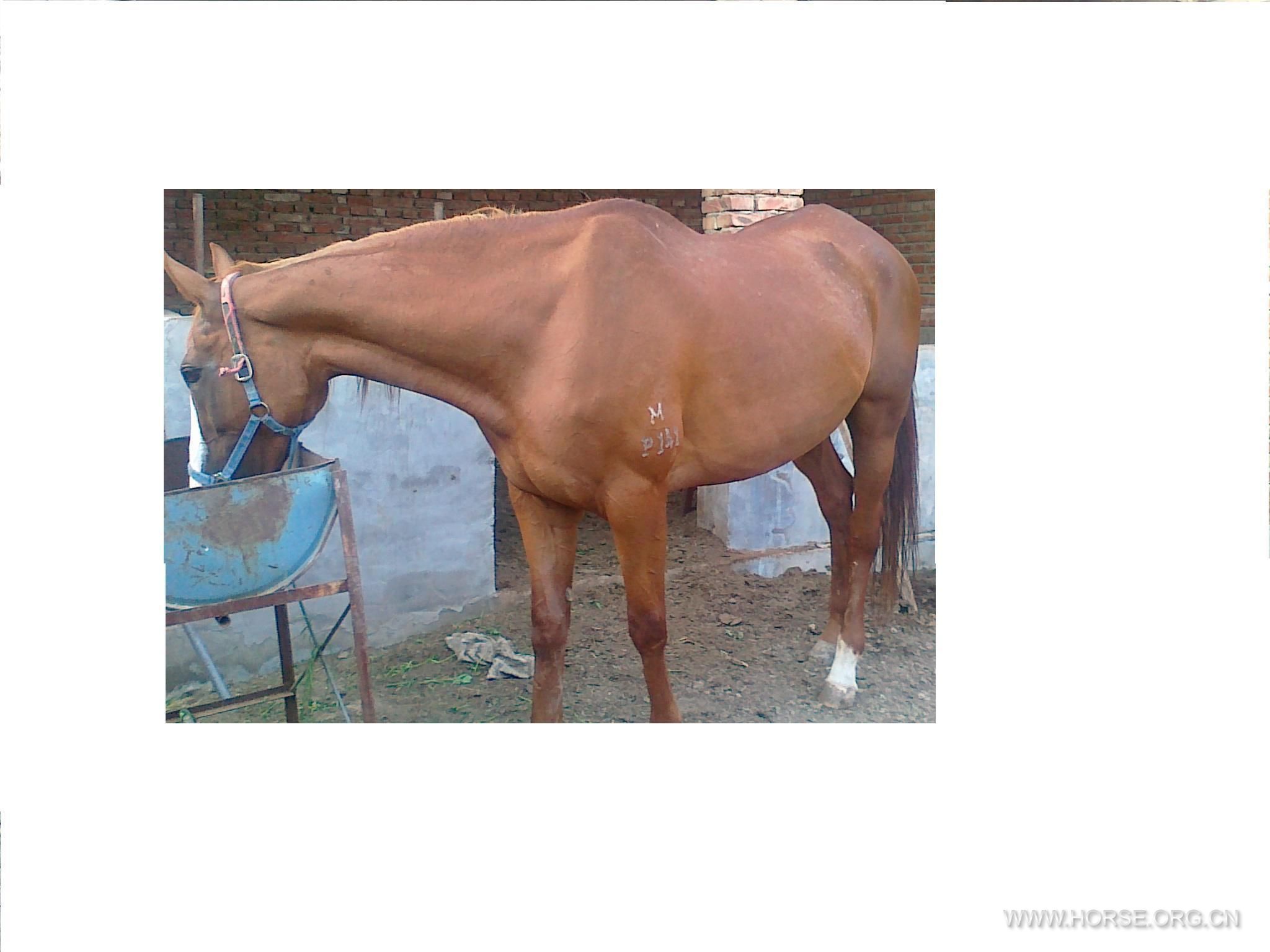 20120715171.JPG