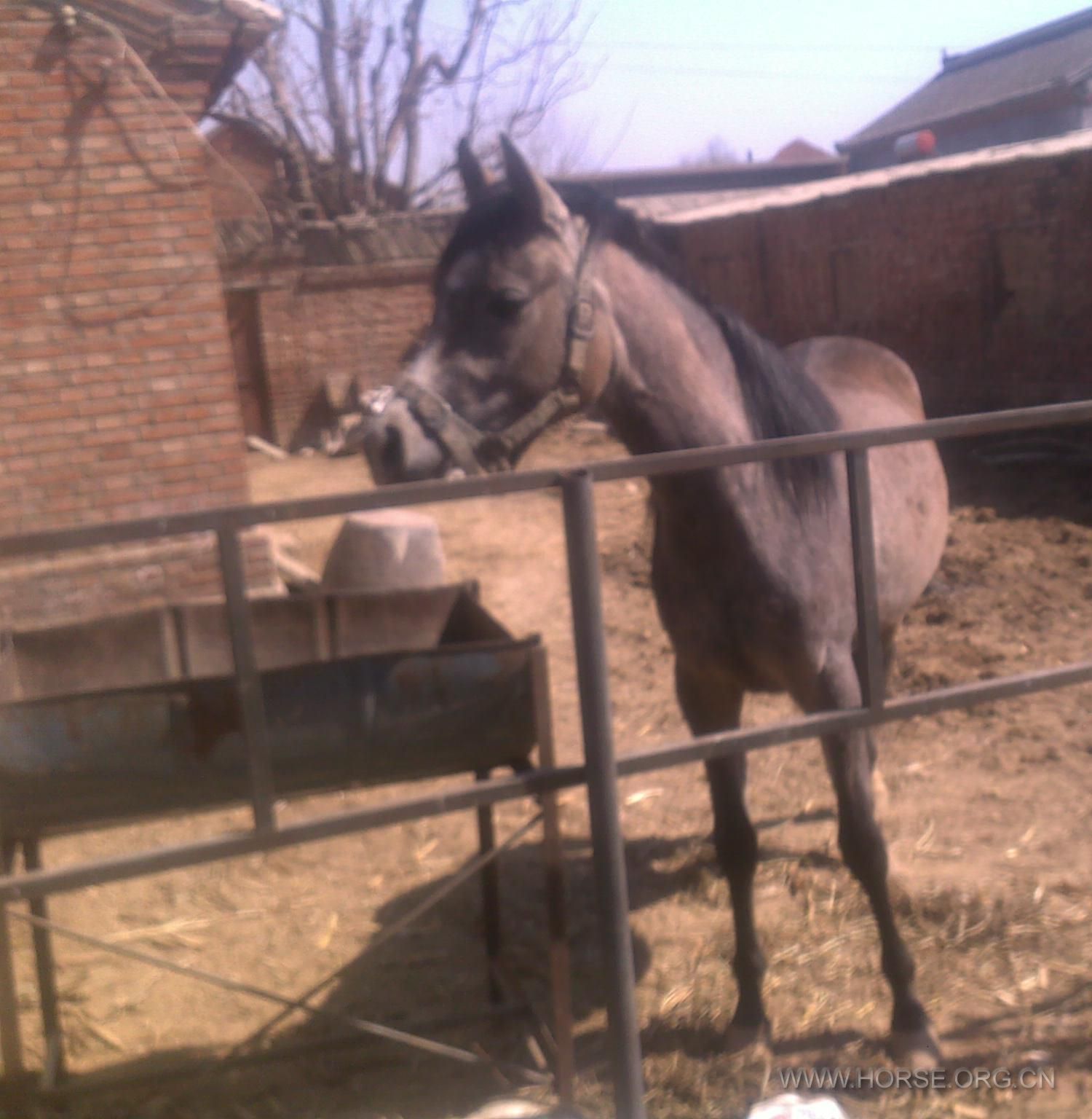 201203271246.jpg