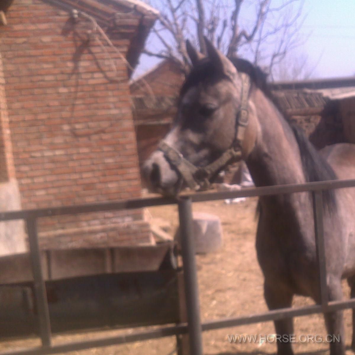 201203271247.jpg