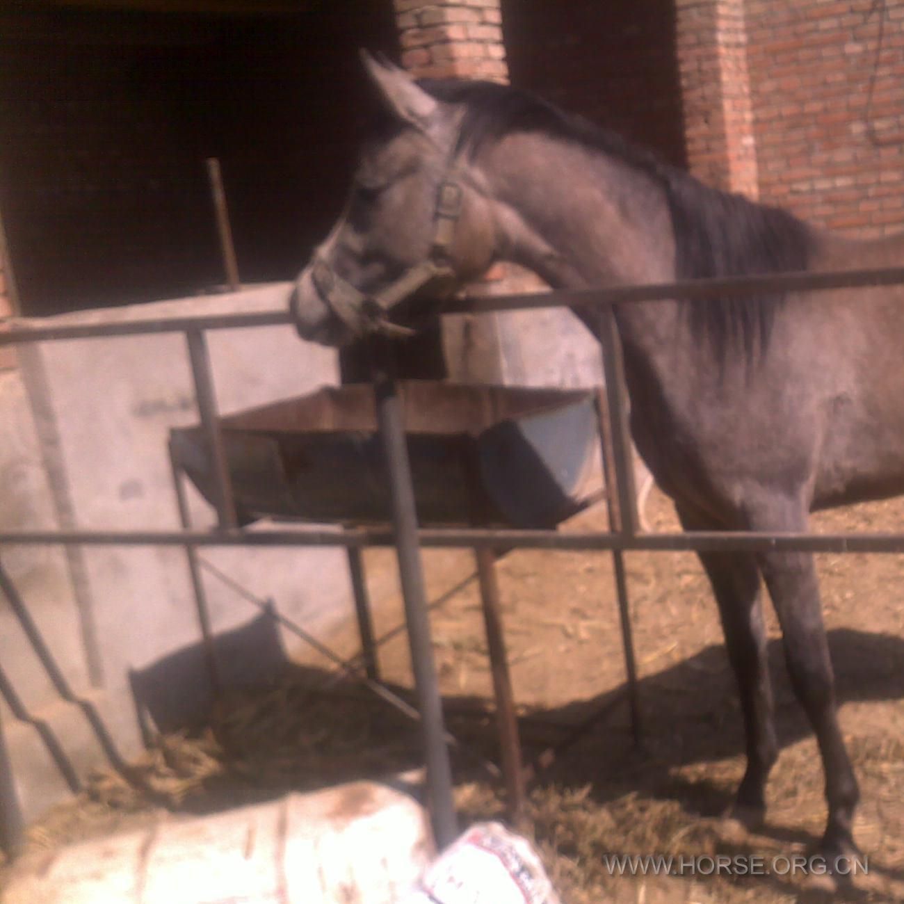 201203271250.jpg