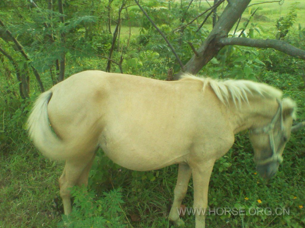 2012-08-07 18.40.13.jpg