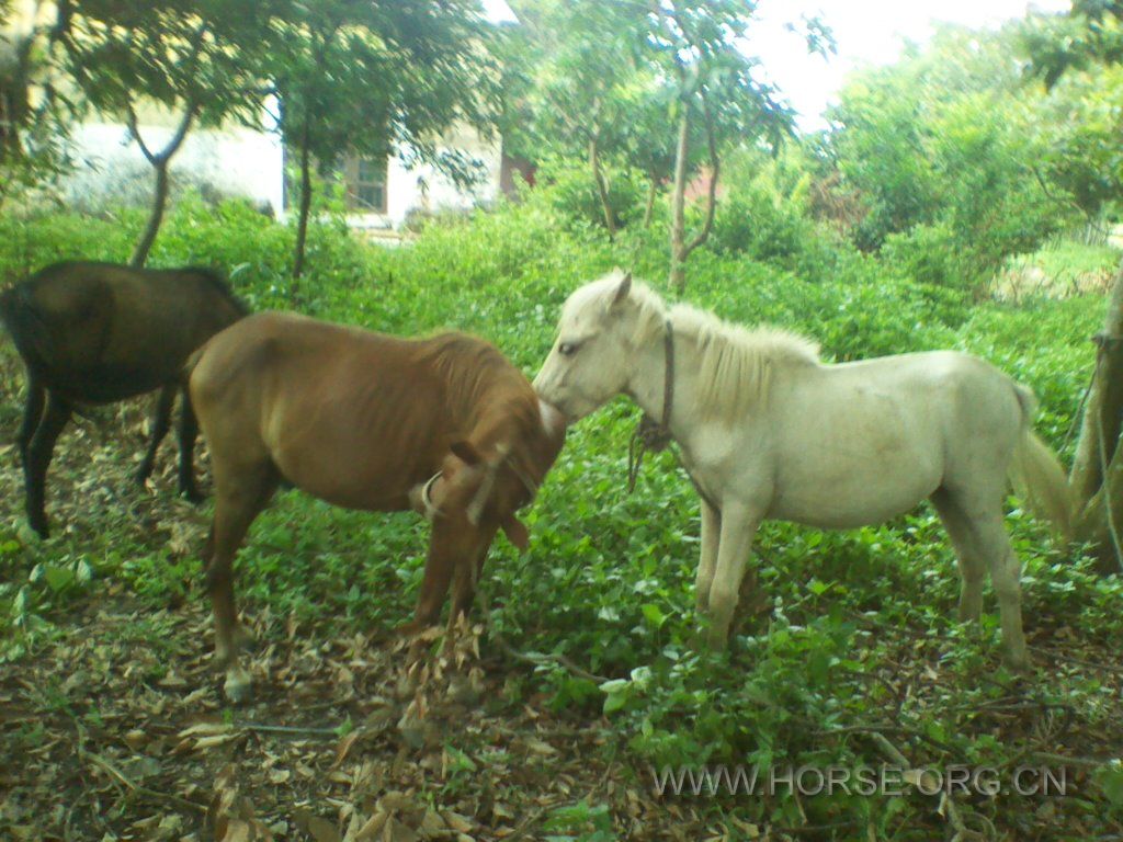 2012-08-31 11.48.36.jpg