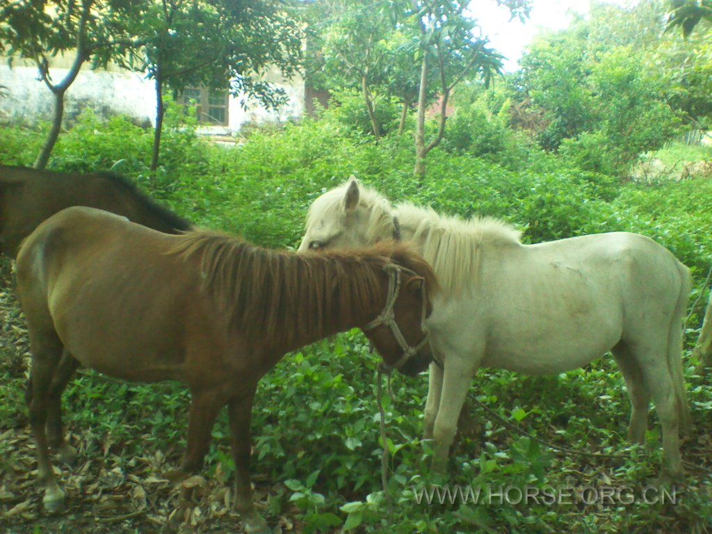 2012-08-31 11.48.42.jpg