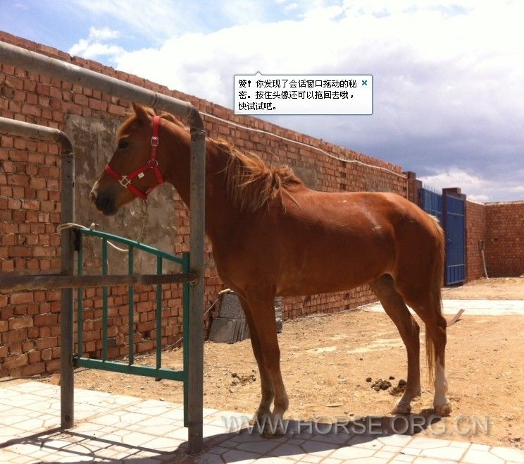 未命名.jpg