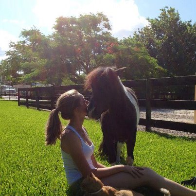 horse27.jpg