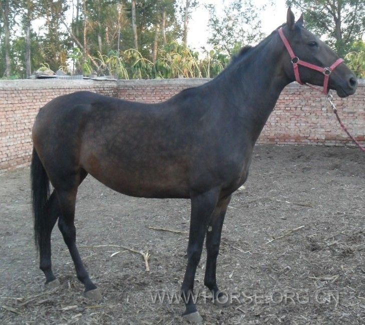}BULJ[NJ)W}R`T4V@%X95%F.jpg