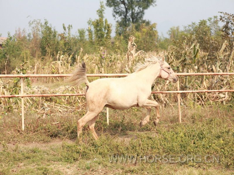DPP_0155.JPG