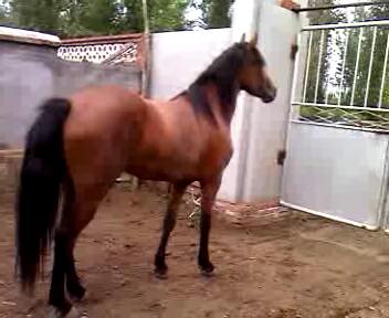 VID_20120731_131052_201283104056.JPG