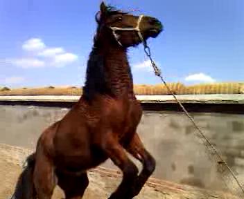 VID_20120327_141154_2012331145826.jpg