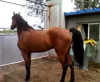 VID_20120731_131052_201281194940.JPG