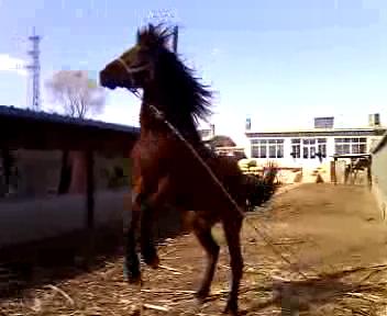 VID_20120327_141154_201233115241.jpg