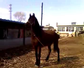 VID_20120327_141154_201233115236.jpg