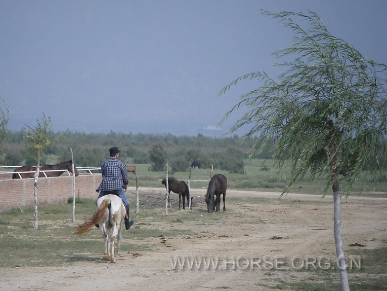 BEIJING country ride (1).jpg