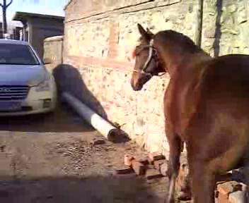 VID_20121115_133506_20121116171722.JPG