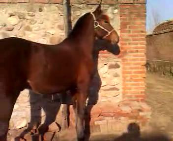 VID_20121115_133506_20121116171640.JPG