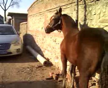 VID_20121115_133506_20121116171728.JPG