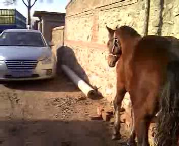 VID_20121115_133506_20121116171657.JPG