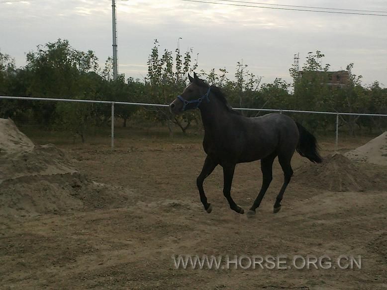 201210131068.jpg