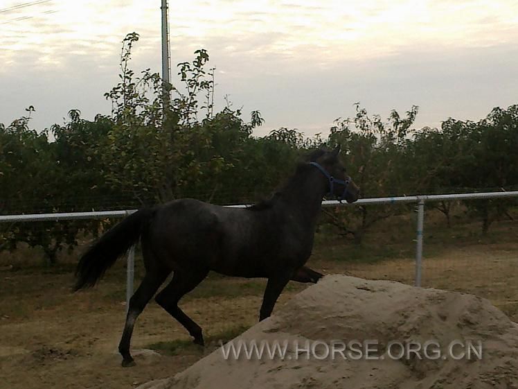 201210131061.jpg