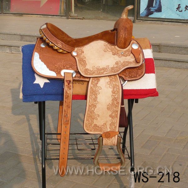 WS219.jpg
