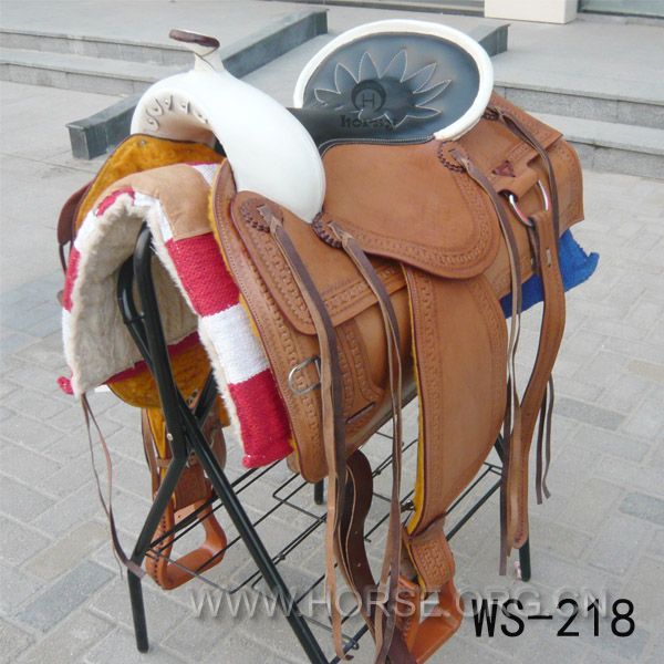 WS218.jpg