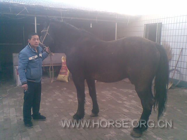 20121203.jpg