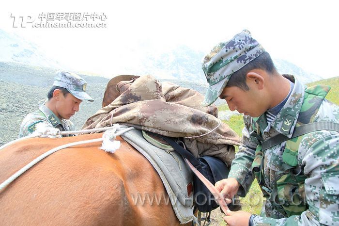 中士杨建军和曹建军更换断了的马肚带