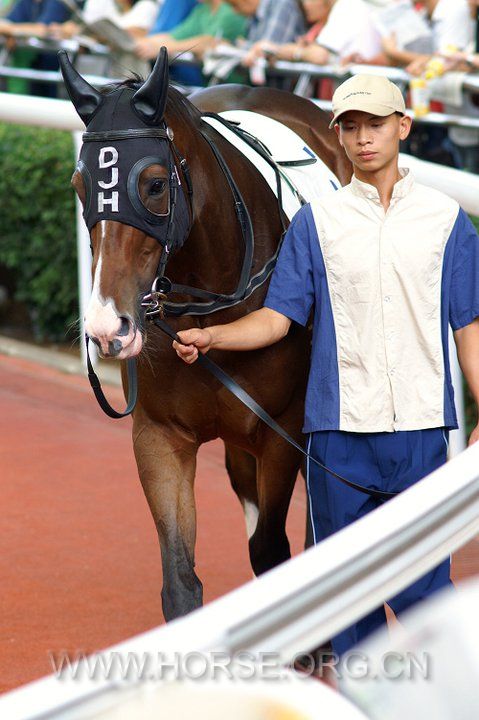 20110701 Sha Tin Racecourse (7).jpg