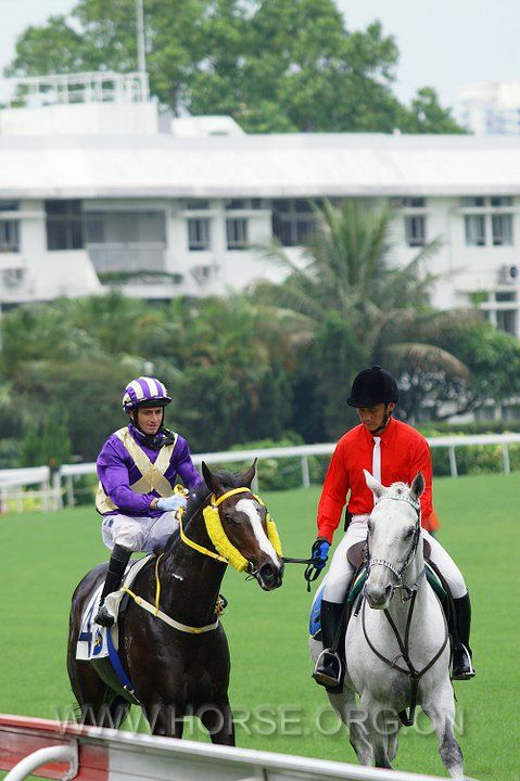 20110701 Sha Tin Racecourse (30).jpg