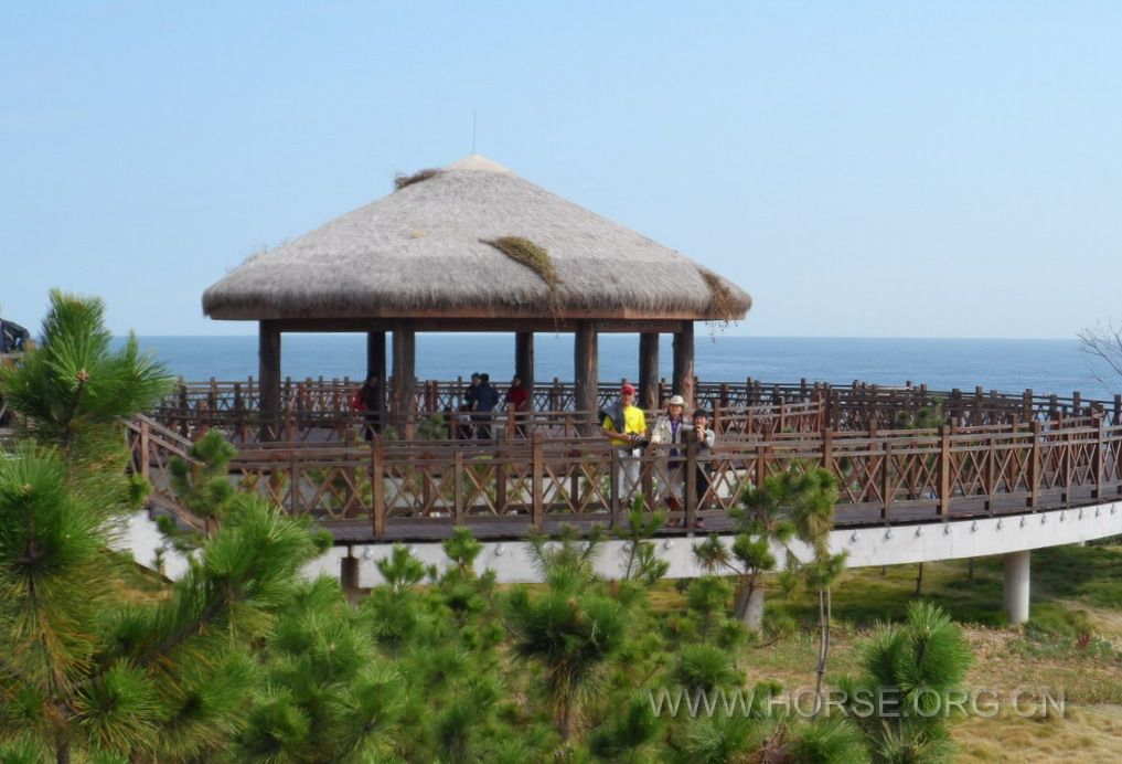 美麗的養馬島 (10).jpg