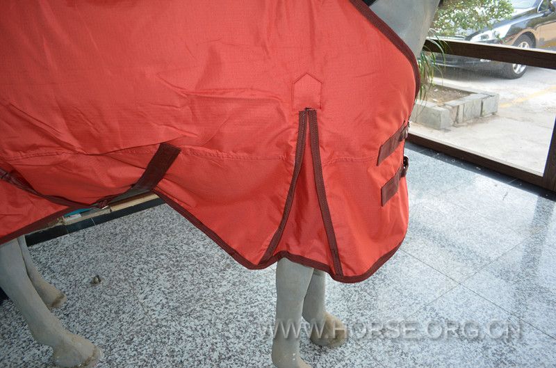 DSC_0404_副本.jpg