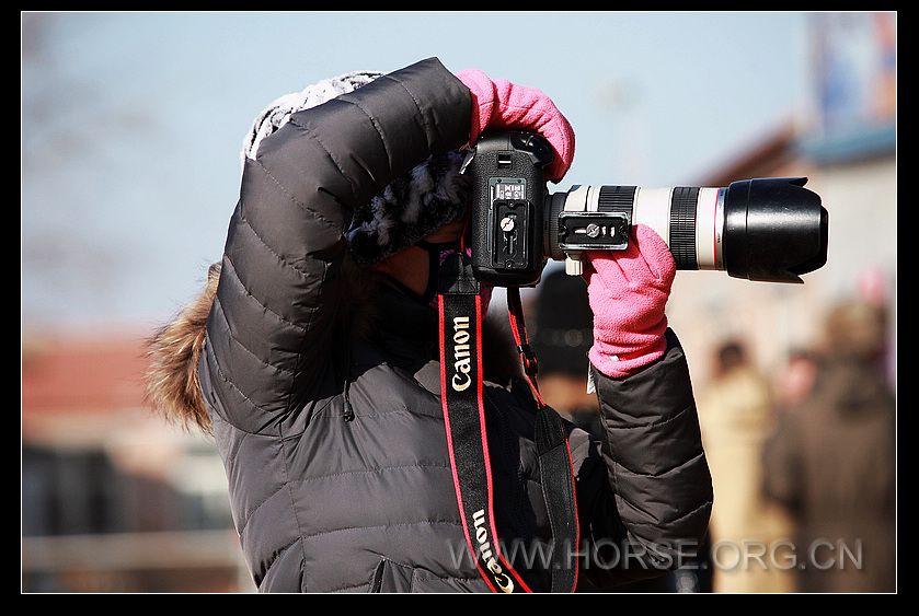 nEO_IMG__MG_3353.jpg