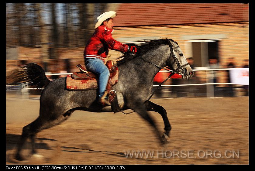 nEO_IMG__MG_3580.jpg