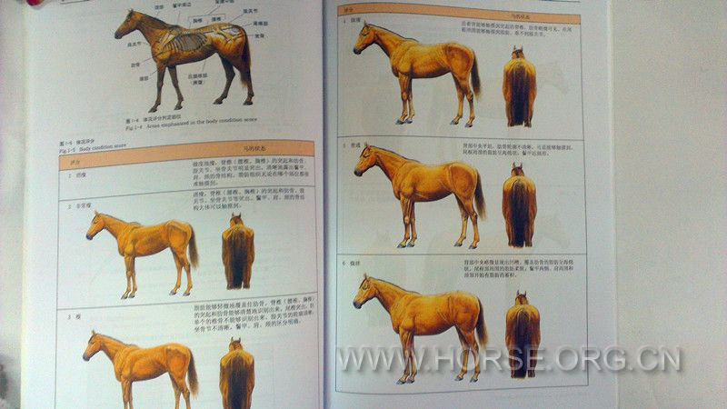 复件 8.jpg