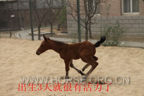 IMG_5097_副本_副本.jpg