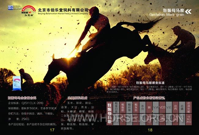 10画册-修改-骑马订-加页码.jpg