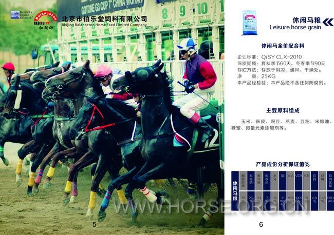 4画册-修改-骑马订-加页码.jpg