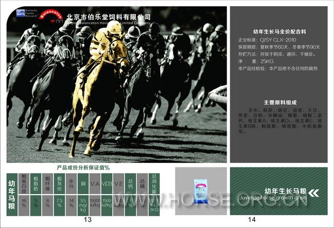 8画册-修改-骑马订-加页码.jpg