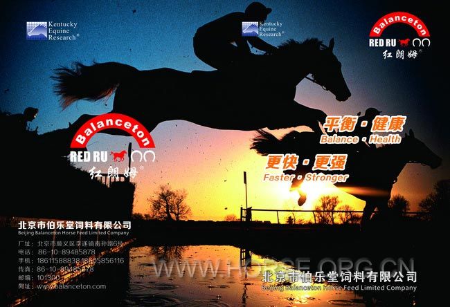 1画册-修改-骑马订-加页码.jpg