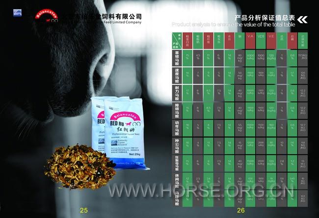 14画册-修改-骑马订-加页码.jpg