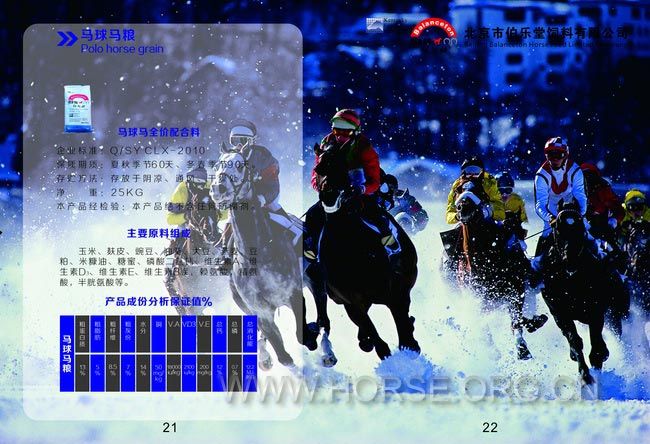 12画册-修改-骑马订-加页码.jpg