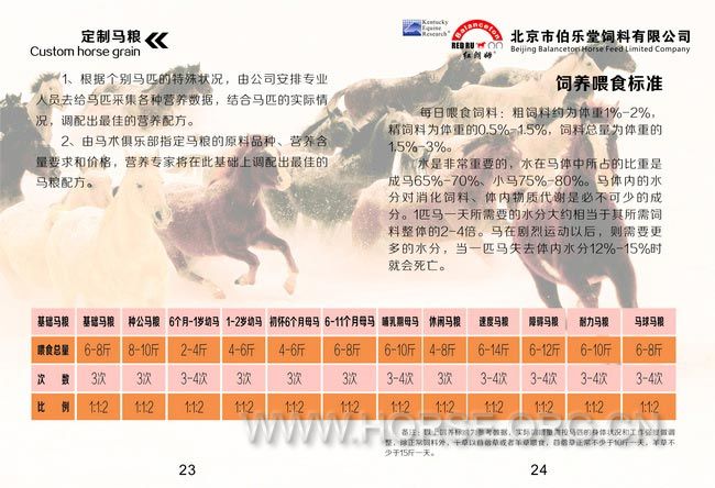 13画册-修改-骑马订-加页码.jpg