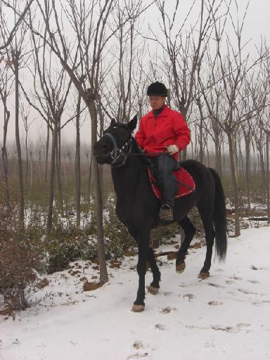 雪后骑马3.JPG