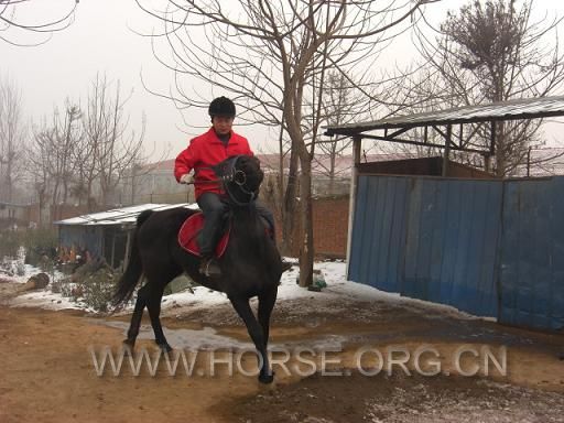 雪后骑马1.JPG